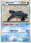 Baby turtle
