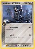 terminator NIV