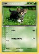 chat