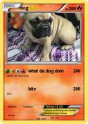 dog