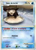 Gato de leche