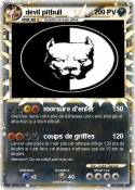 devil pitbull