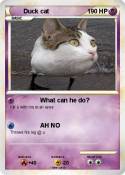 Duck cat