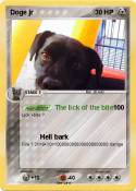 Doge jr