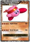 Mega Fighter
