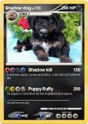 Shadow dog