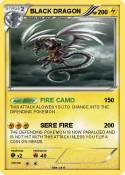 BLACK DRAGON