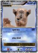 Camel