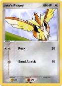 Jake's Pidgey