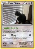 Pablo Pitcatso