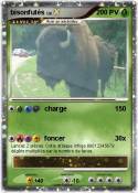 bisonfutés