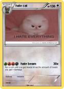 hate cat