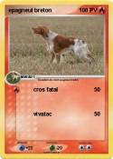 epagneul breton