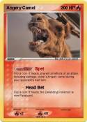 Angery Camel