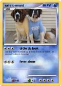 saint-bernard