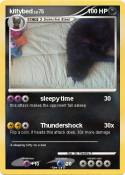 kittybed