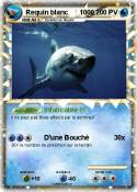 Requin blanc