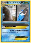 I HAS A BUCKET