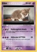 Kitten