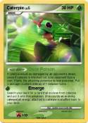 Caterpie