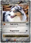 Chien des