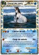 Cheval des mers