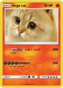 doge cat