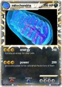 mitochondria