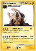 Grand Chien