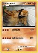 chatoune
