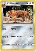STEELCLAW