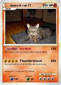 mascot cat 77