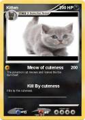 Kitten