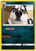 Doggo
