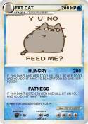 FAT CAT