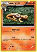 NOAH'S PET