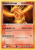 phoenix sauvage