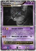 Jayfeather
