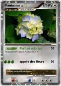 Plantacour