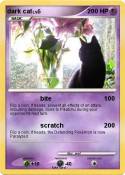 dark cat