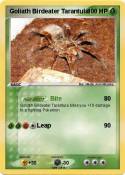 Goliath Birdeat