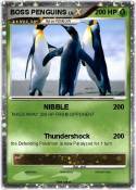 BOSS PENGUINS
