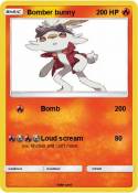 Bomber bunny