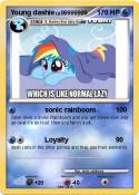 Young dashie