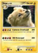 Doge