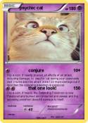 psychic cat