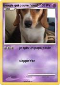 beagle qui