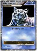 white tiger