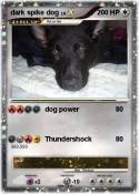 dark spike dog