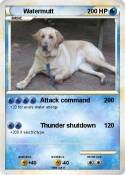 Watermutt